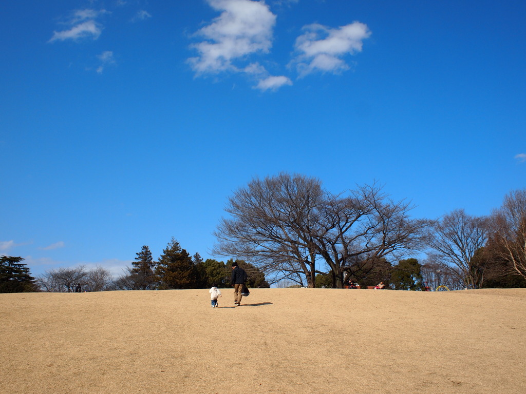 20110213-大好きな丘