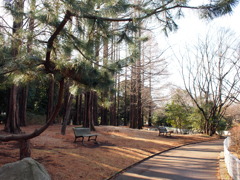 20110213-２月のある晴れた日