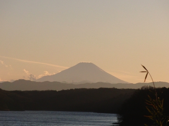 富士山