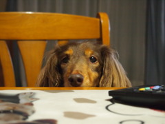 なんか食べてるの？ママ