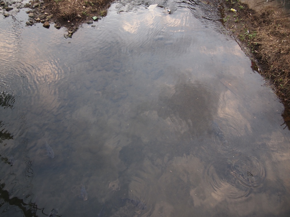 水の中の空