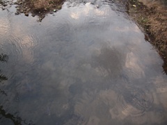 水の中の空