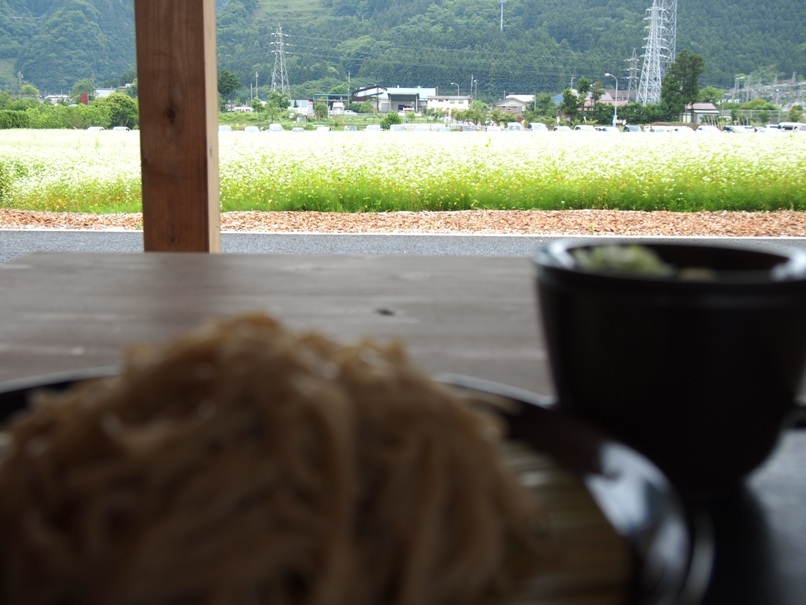 蕎麦の向こうにその白い花