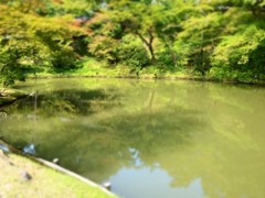臥龍池