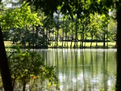 智光山にて。。。。。