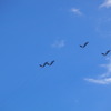 1103-航空祭