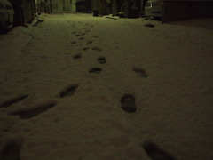 20110214-雪の降る夜