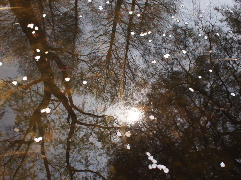 水の中の空