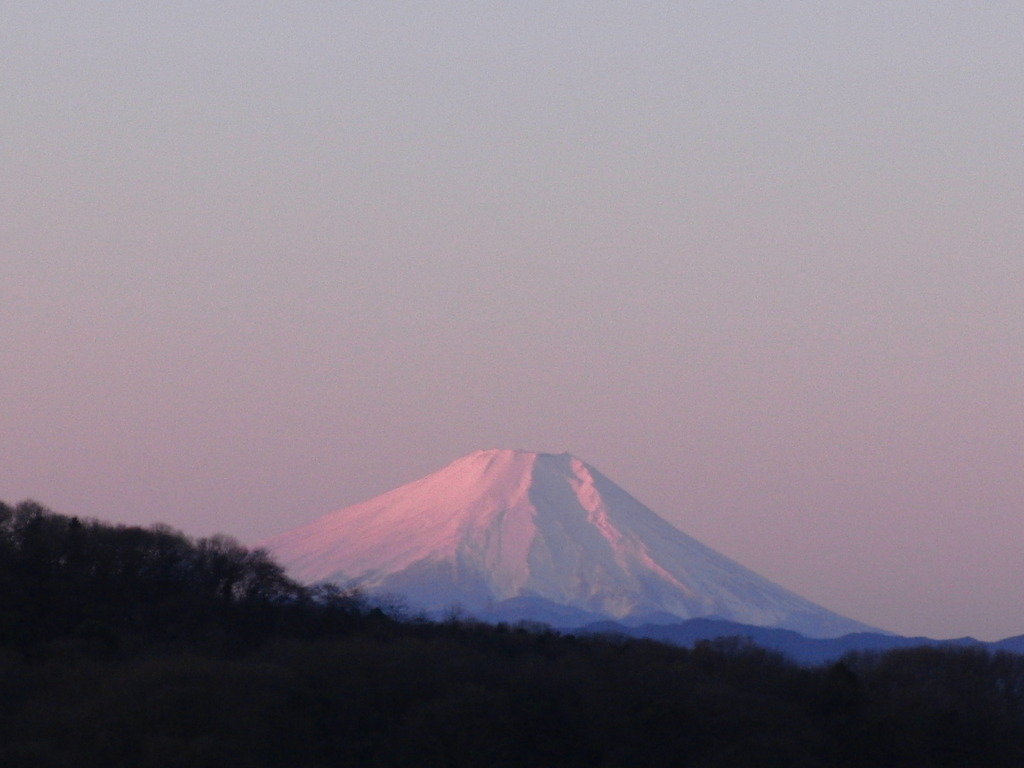 0101-fujisan