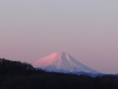 0101-fujisan