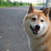 おはよ～