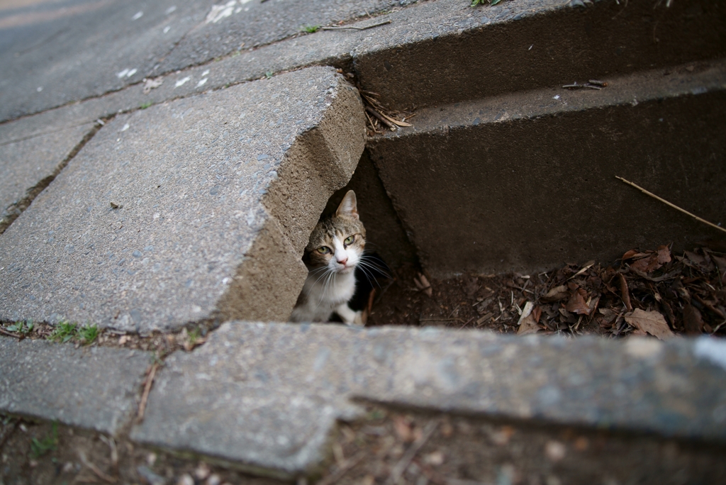 どうも、はじめまして。