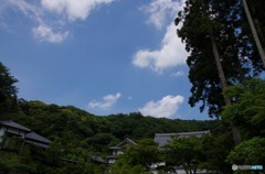 鎌倉　円覚寺より