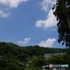 鎌倉　円覚寺より