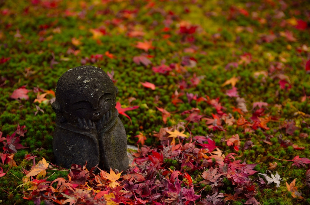 圓光寺 