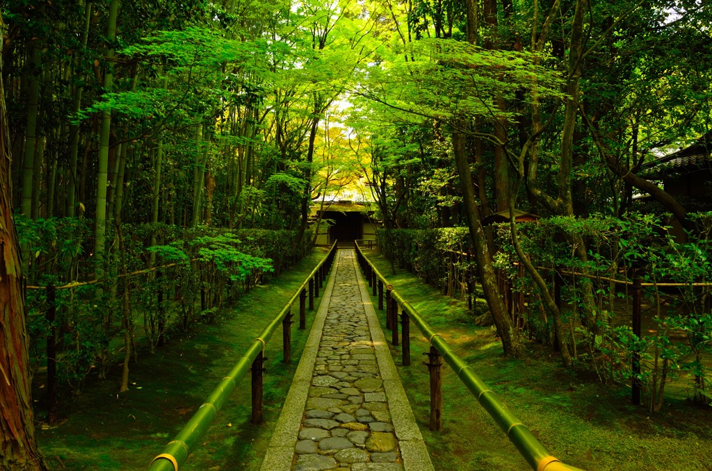 高桐院