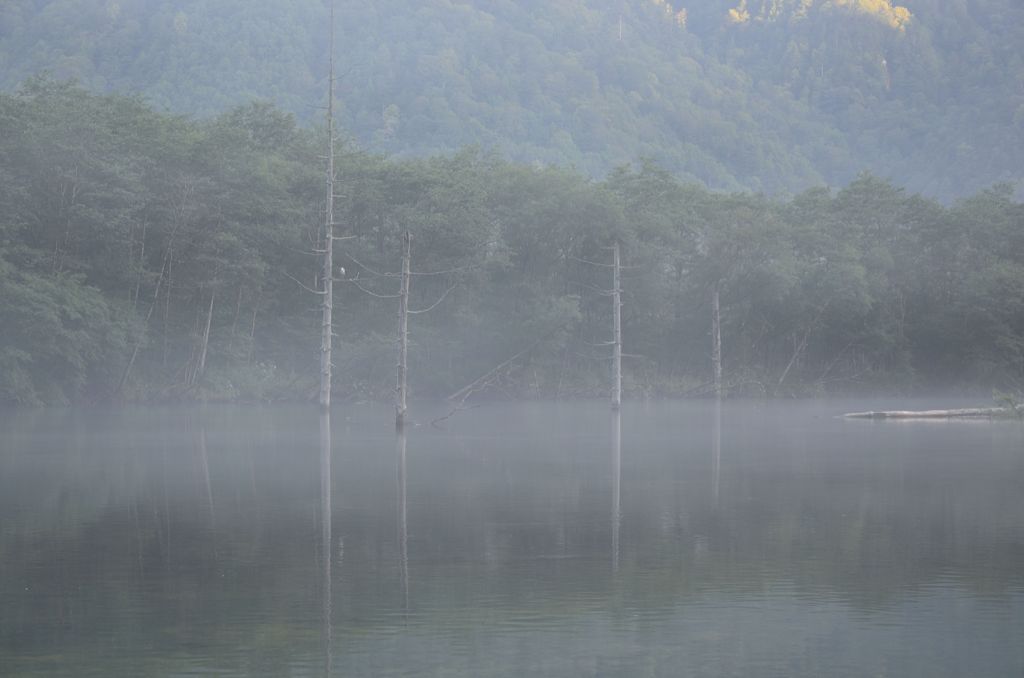 大正池の朝もや２