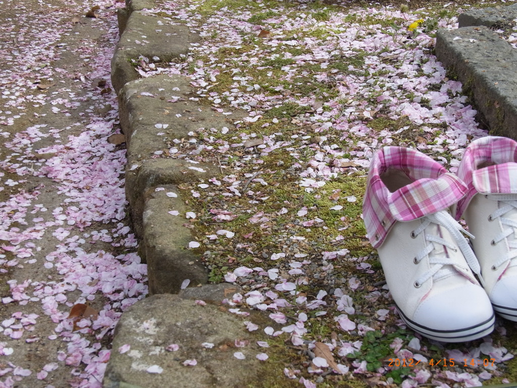 私の出番よ・・・