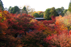 東福寺