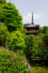 三室戸寺