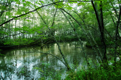 上高地
