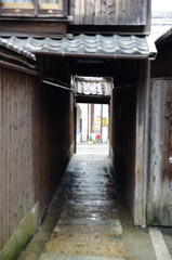 IMGP2544