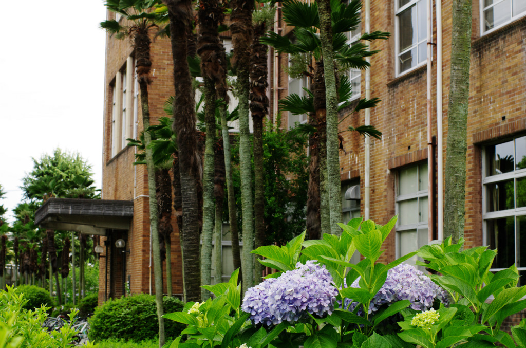 学校