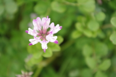 IMGP0579