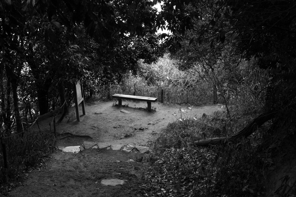 Bench