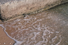ＳＥＡ