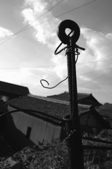 力強くそびえる