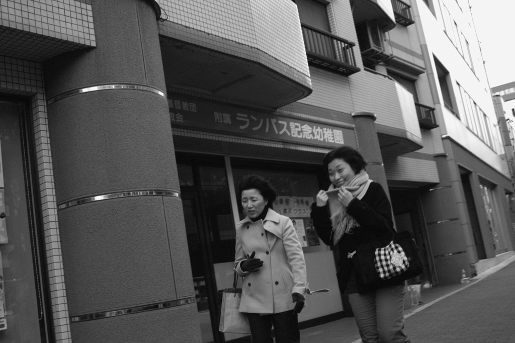 強風の朝