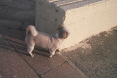 「海って美しいなー」