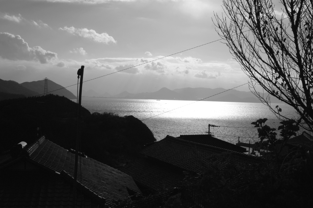 島からの海風景
