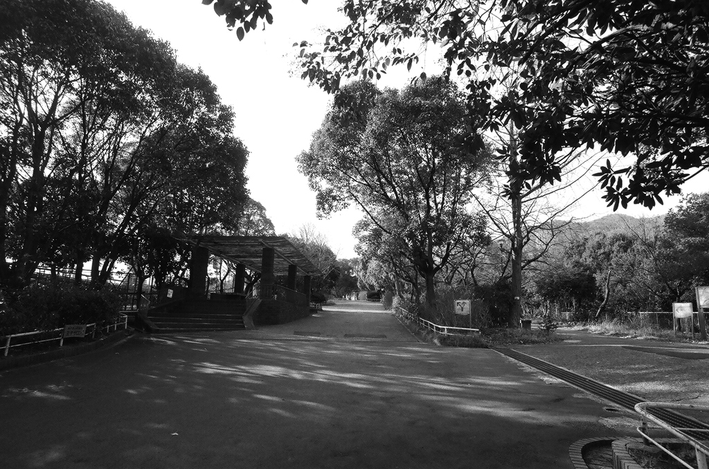 公園ややアジェ