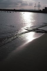 光と海と