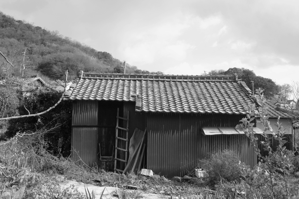 島の風景