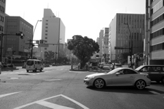 香川にも、わたしの車