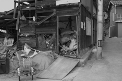 潮風を受け続ける