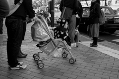 お出掛け大好き