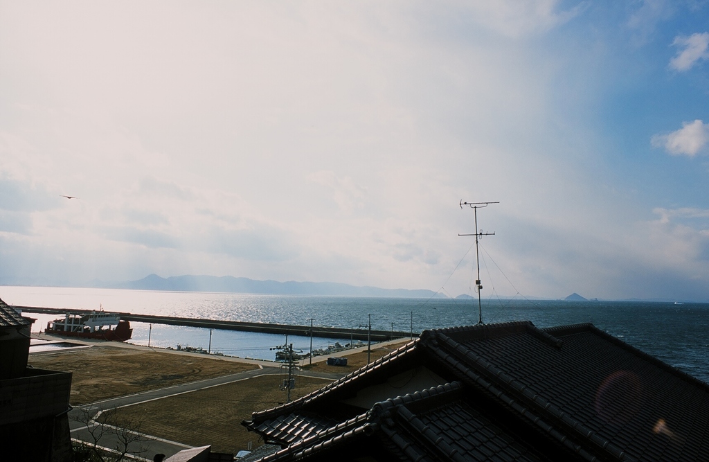 かもめ