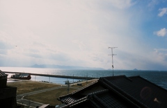 かもめ
