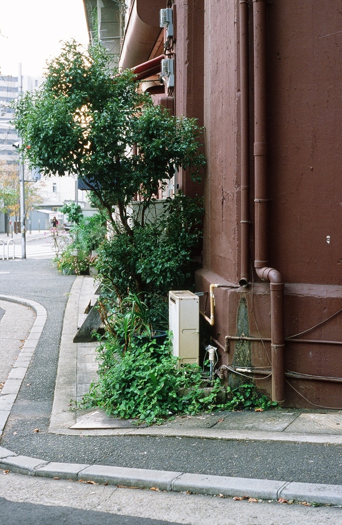 KN001001