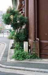 KN001001