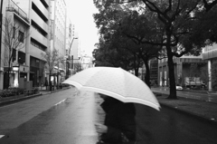 大通りと傘を差す女性の横顔