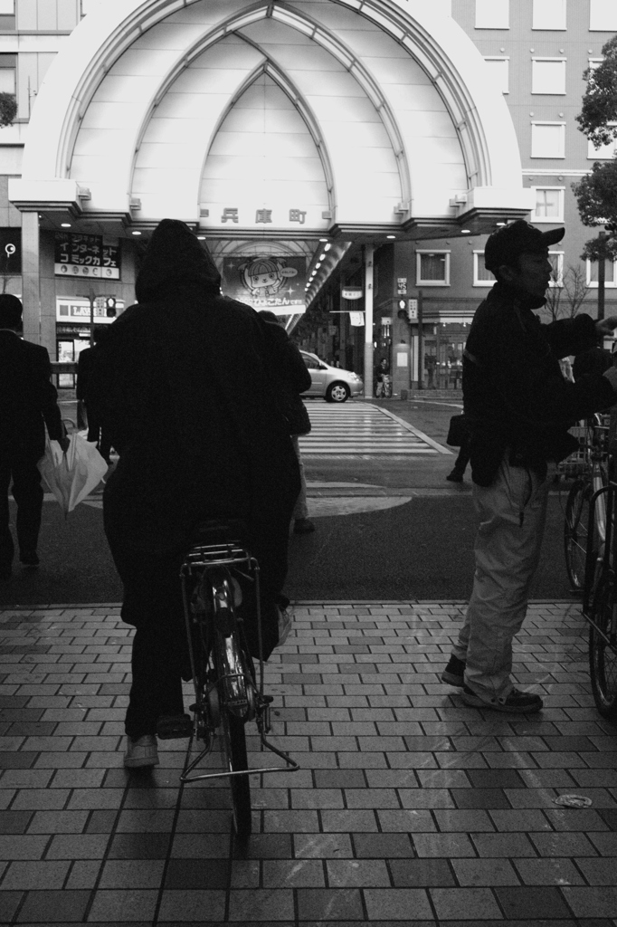 自転車とクロネコの影