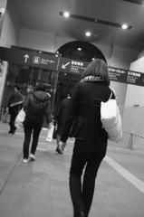 ゼブラマフラー