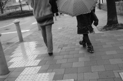 楽しいお出かけ