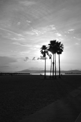 夕日モノクローム