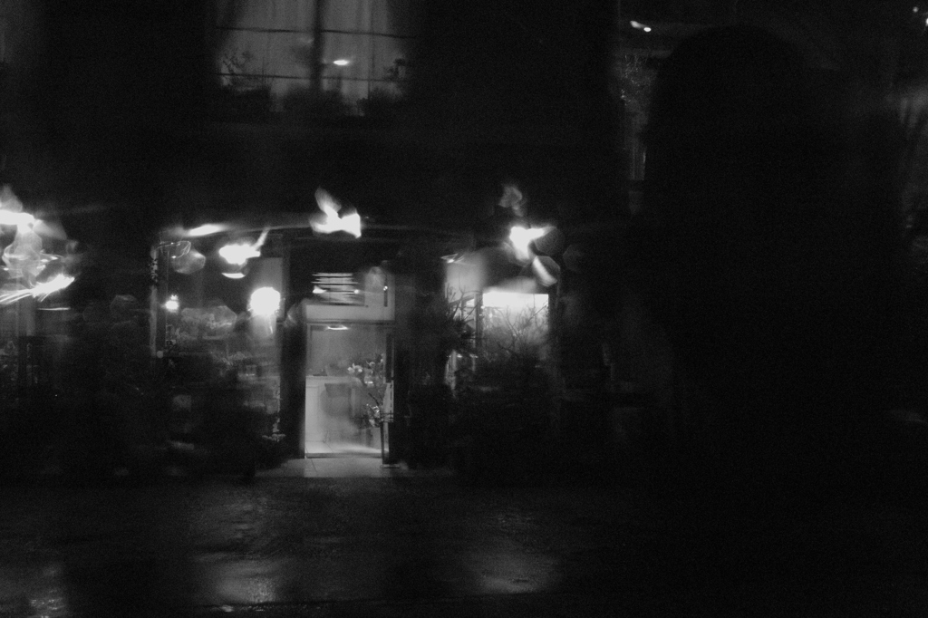 夜の雨